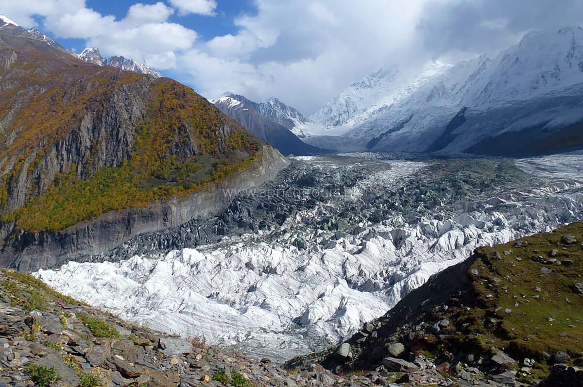 Rakaposhi Base Camp Trek